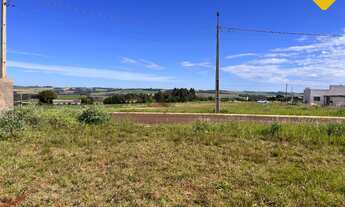 Imagem 5: Oportunidade: Terreno à venda em Victor Graeff, Cidade Alta