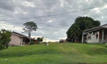 Imagem: Terreno aclive pronto para construir !