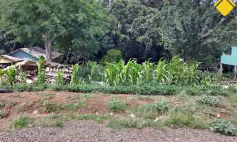 Imagem: TERRENO EXCELENTE PARA INVESTIR NO BAIRRO