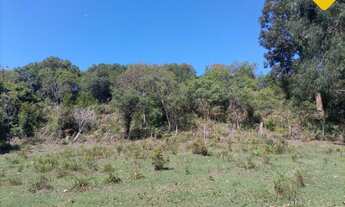 Imagem 3: Área de terra para criação de GADO!