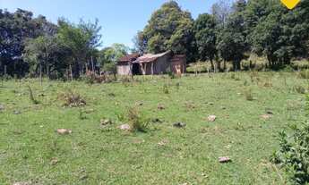 Imagem 7: Área de terra para criação de GADO!