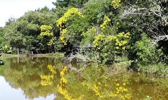 Imagem 4: Chácara, 20M² de Área Construída