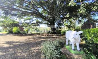 Imagem 4: Chácara, 20M² de Área Total