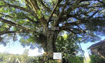 Imagem 5: Chácara, 20M² de Área Total