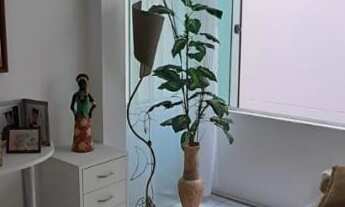 Imagem 6: Apartamento no Edifício Residencial Edith, 02 Dormitórios, 01 Vaga, 80 metros do MAR, Barr