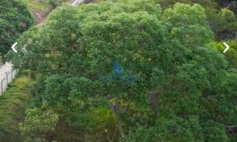 Imagem 3: Terreno para venda em São Lourenço - Imperdível!