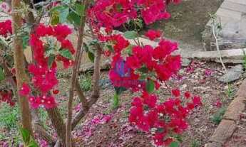 Imagem 3: Casa em São Lourenço/MG