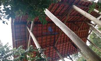 Imagem 4: Chácara em Soledade de Minas