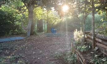 Imagem 6: Chácara em Soledade de Minas