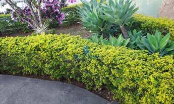 Imagem 4: Casa, 3 dormitórios, 1 suítes, 2 banheiro, 1 vaga na garagem, 375M² de Área Construída