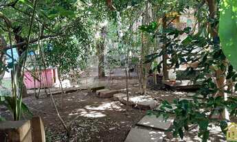 Imagem 6: Casa com 2 moradias à venda no Salgado Filho