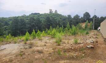 Imagem 3: Oportunidade: Terreno em São Giacomo, Caxias do Sul
