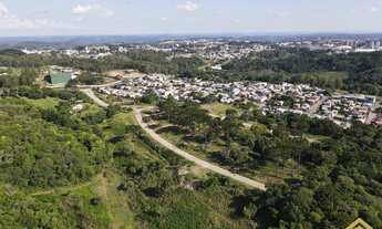Imagem 2: Chácara 1ha a 7km do Centro de Caxias do Sul