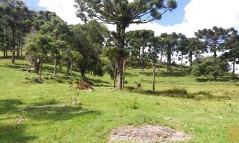 Imagem 7: Chácara à 10km do Centro de Caxias do Sul
