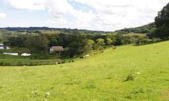 Imagem 5: Chácara à 10km do Centro de Caxias do Sul