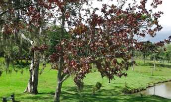 Imagem 3: Chácara à 10km do Centro de Caxias do Sul