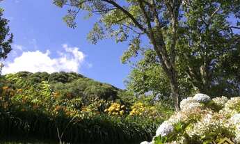 Imagem 4: Chácara à 10km do Centro de Caxias do Sul