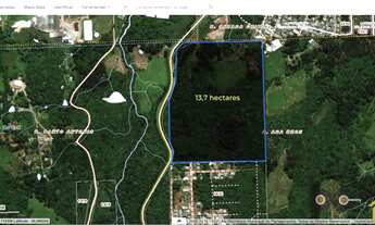 Imagem: ÁREA DE TERRAS 13 hectares - frente para