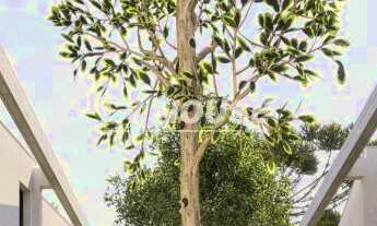 Imagem: Residencial Otto, Bom Retiro - Curitiba/PR