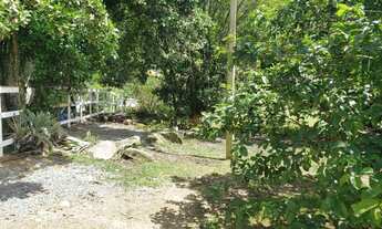 Imagem: Sítio a Venda em Itapema, Sertão do Trombudo