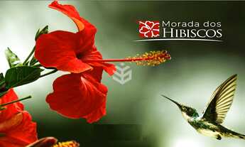 Imagem 2: CASA EM GRAMADO NO CONDOMÍNIO ALPHAVILLE