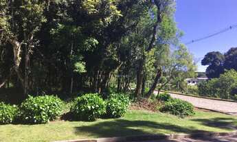 Imagem: Terreno em ANA RECH