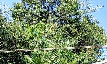 Imagem 2: Casa Bairro Bela Vista