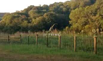 Imagem 3: Chácara com 2 Dormitorio(s) localizado(a) no bairro Vila Seca em Caxias do Sul / Rio Gran