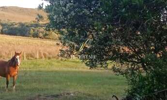 Imagem 5: Chácara com 2 Dormitorio(s) localizado(a) no bairro Vila Seca em Caxias do Sul / Rio Gran