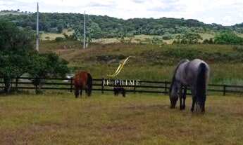 Imagem 6: Chácara com 2 Dormitorio(s) localizado(a) no bairro Vila Seca em Caxias do Sul / Rio Gran