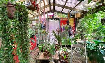 Imagem 6: CASA NO BAIRRO SALGADO FILHO!