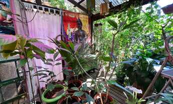 Imagem 7: CASA NO BAIRRO SALGADO FILHO!