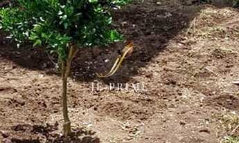 Imagem 6: Casa Bairro Desvio Rizzo