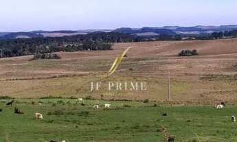 Imagem 6: Terreno São Francisco de Paula