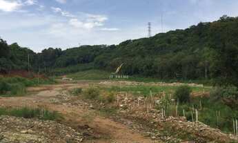 Imagem 3: TERRENO LINHA 40