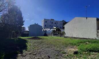 Imagem 3: Terreno No Desvio Rizzo