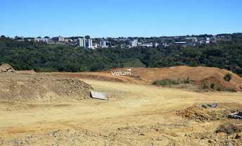 Imagem 3: Terreno no São Luiz