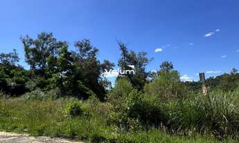 Imagem 1: Terreno no bairro Reolon