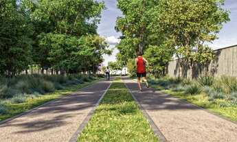 Imagem 2: Terreno em Terra de Areia