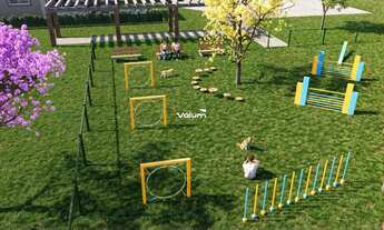 Imagem 5: Terreno em Terra de Areia