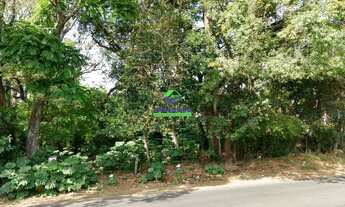 Imagem 5: Terreno em Uvaranas