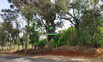 Imagem 6: Terreno em Uvaranas