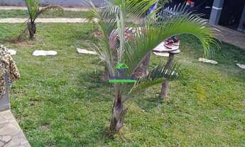 Imagem 6: Casa no Jardim Carvalho