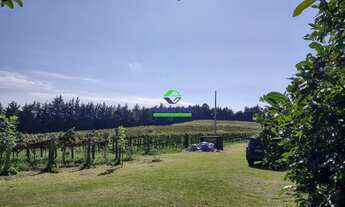 Imagem: Chácara no Guaragi