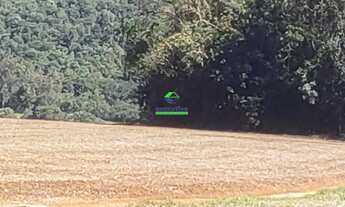 Imagem: Chácara no Santa Tereza