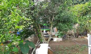 Imagem: Terreno à venda, em Uvaranas