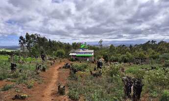 Imagem: Chácara no Periquitos