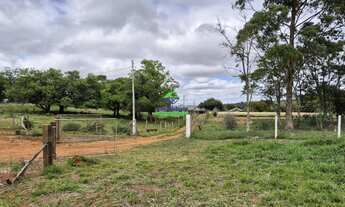 Imagem 7: Chácara no Periquitos