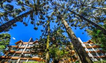 Imagem 4: Apartamento à venda em Gramado, no bairro Planalto