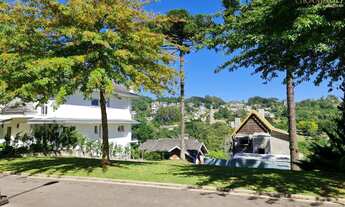 Imagem 4: Lindo Terreno Alphaville Gramado Permuta Por Apto na Serra